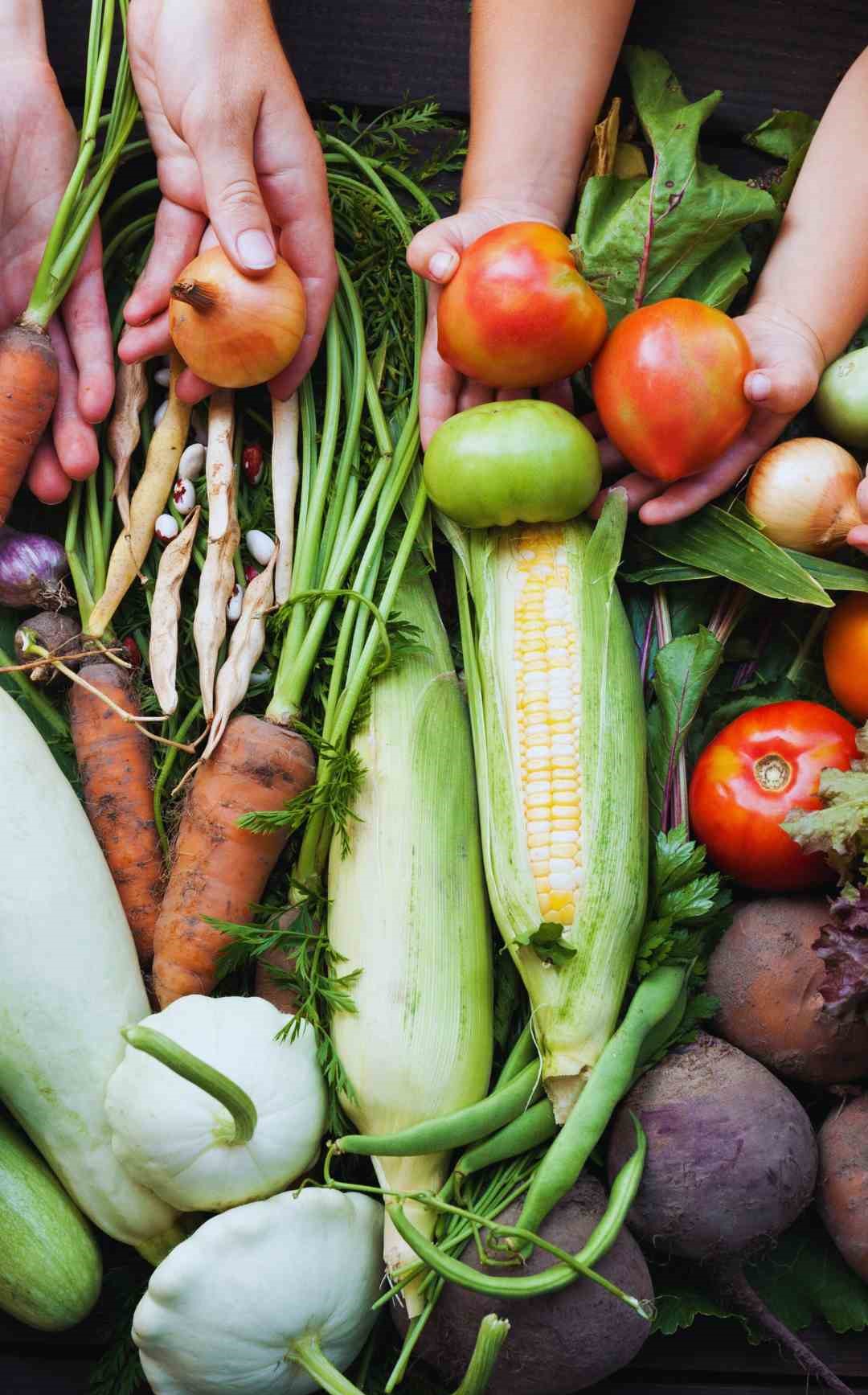 1001 Nights luxury sustainable Arab restaurant chooses organic products from local farmers